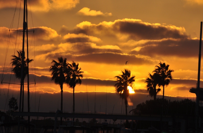 sunset over Belmont Park